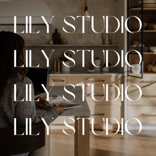 Canva Brand: Lily Studio - Image 2